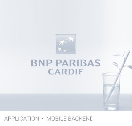 app BNP Paribas gris