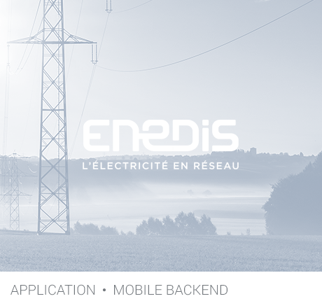 enedis_logo