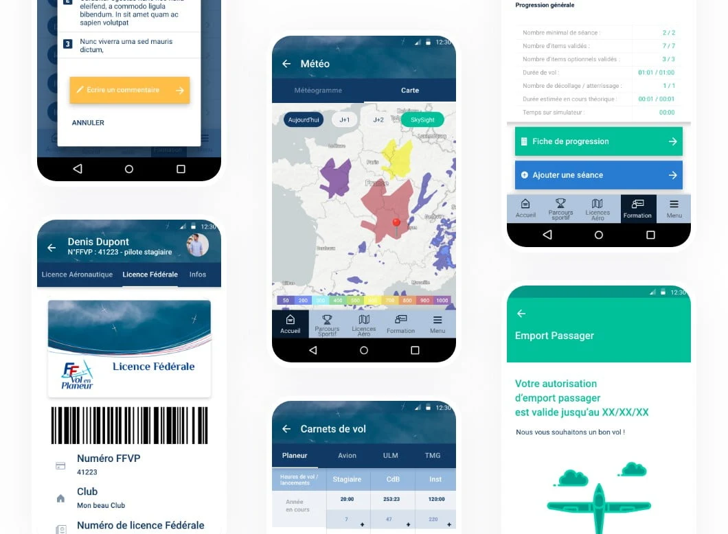 FFVP : visuel du projet