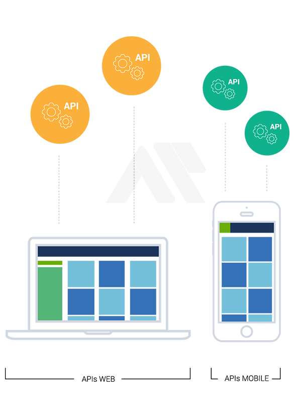 API Platform